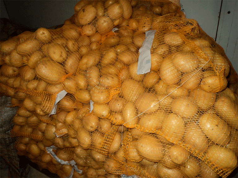  сетки для картошки оптом
