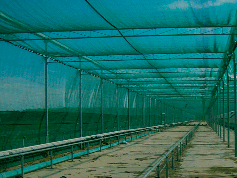 Затеняющая сетка для растений в теплицах по цене производителя .